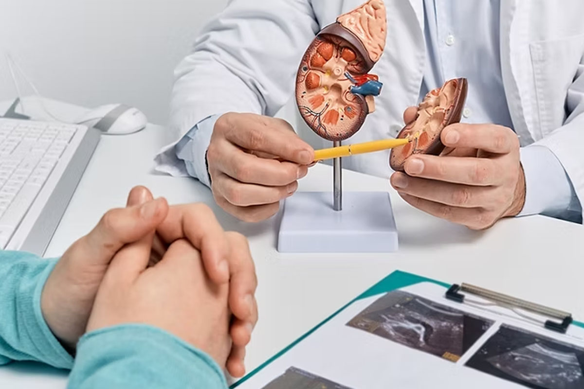 Urology